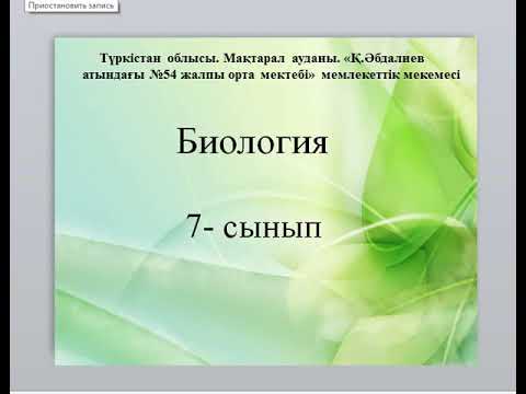 Video: Цианобактериялар өсүш үчүн эмне керек?