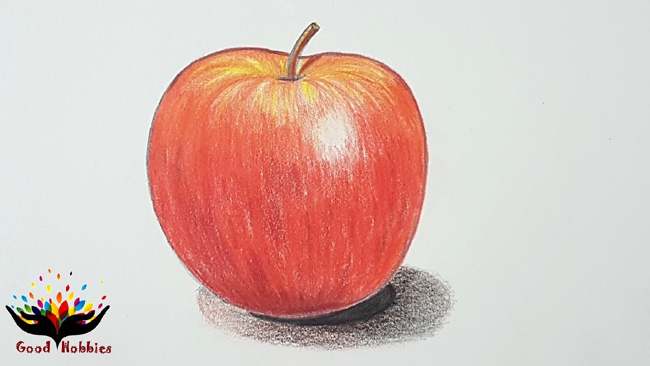 Apple Colour Pencil Drawing