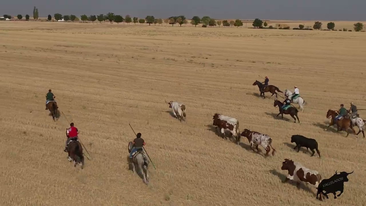 TORRECILLA DE LA ORDEN