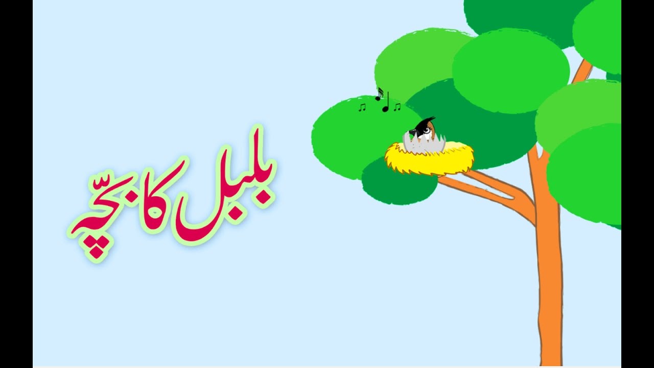 Bulbul ka Bacha Urdu Poem      