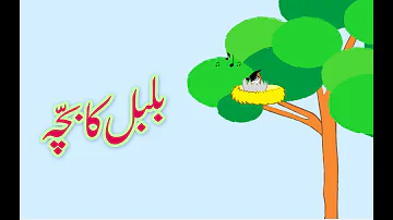 Bulbul ka Bacha (Urdu Poem) | (بلبل کا بچّہ (اردو نظم