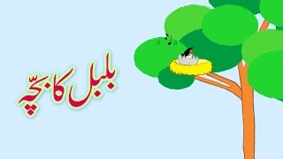 Bulbul ka Bacha (Urdu Poem) | (بلبل کا بچّہ (اردو نظم