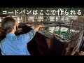コードバンの真髄に迫る!工場見学|新喜皮革|激レア革もありました