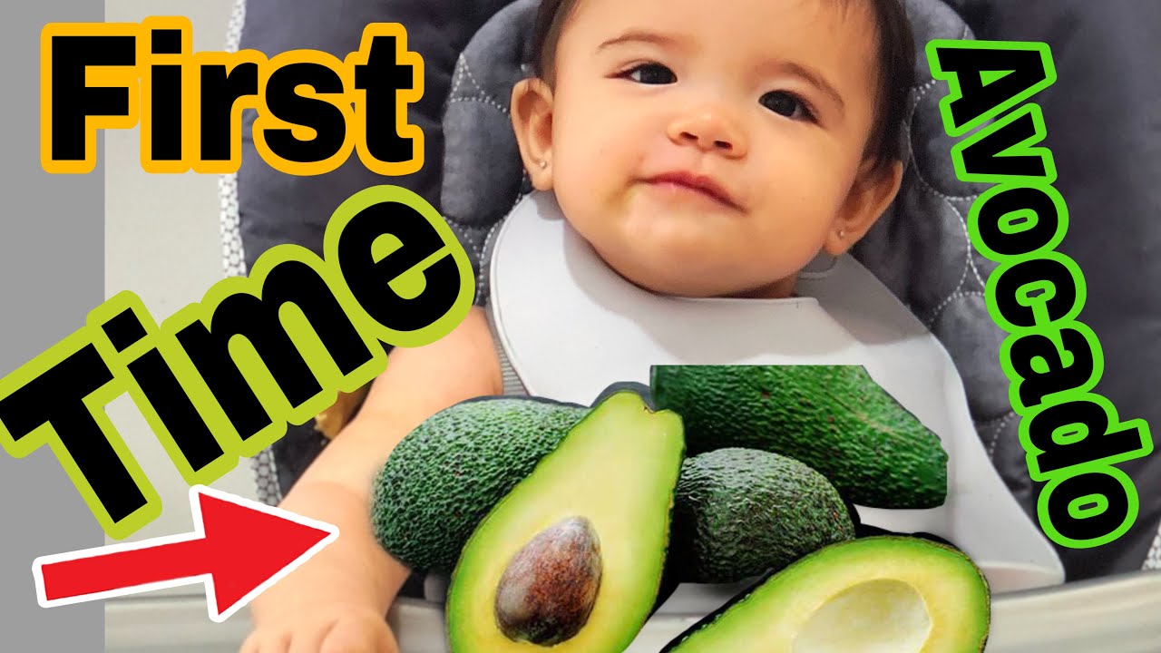 BABY EATING AVOCADO FOR THE FIRSTIME EATING REACTION YouTube baby-eating-avocado-for-the-firstime-eating-reaction-youtube