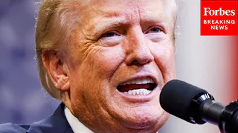 'The Campaign Is Not Flailing, It's The Candidate': Frank Luntz Gives Warning About Trump's Behavior thumbnail