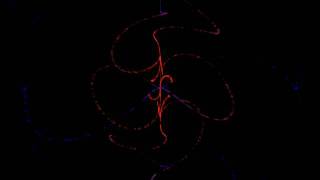 Particle Stream Animation (2)