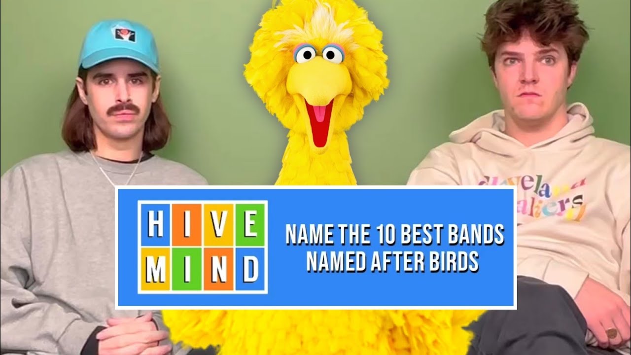 Bands Named After Albums