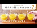 【お菓子作りの基本】ゼラチンの量を変えるとどうなる？｜分量別4パターンを徹底比較！［macaroniラボ vol.8］