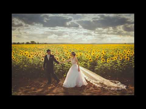 딴딴따단 (연주용) - 미유 (Mew)