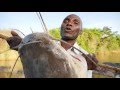 PD Safaris: a day in the life of local fishermen