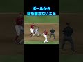 大事なことは?#野球 #mlb #審判 #ルール