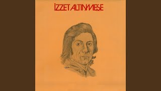 Bitlis'te Beş Minare - İzzet Altınmeşe