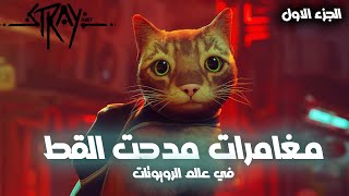 Stray | مغامرات مدحت القط