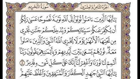 سورة التحريم بصوت الشيخ وديع اليمني