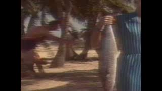 Sunshine reggae - Laid Back