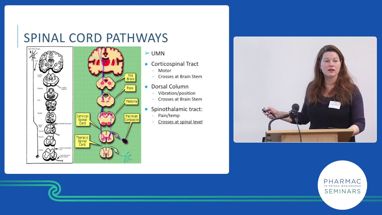 Neurology basics, Dr Anna Ranta, part 2 - YouTube