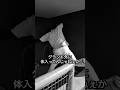 【前編】ホームランキャッチ#野球 #サポ魂 #あるある