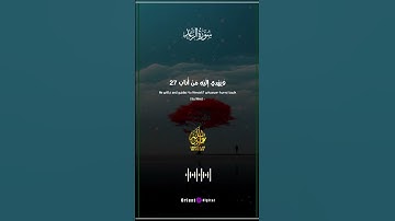 تلاوة خاشعة بصوت الشيخ عبدالله مصطفى تلامس أعماق القلوب 💫