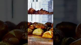 Why bread turns brown when toasted