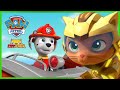 Leo & Marshall Save Animals on the Ferris Wheel | PAW Patrol Cat Pack Episode | Cartoons for Kids