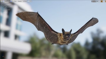Medhue Bat in Unreal Engine!!
