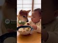 フーフーしてあげる赤ちゃん| #shorts #animals #baby