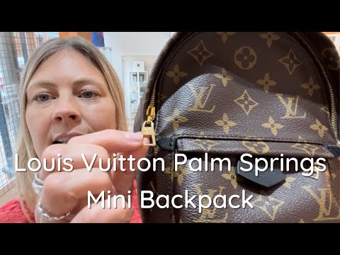 Louis Vuitton Palm Spring PM new zipper