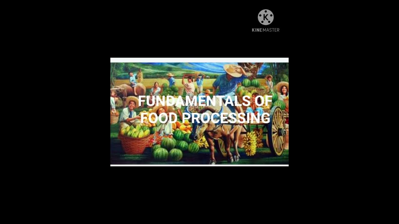 B.Sc food technologyIISEMBFT153FUNDAMENTALS OF FOOD PROCESSING YouTube