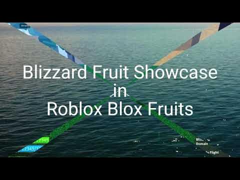 SHOWCASE BUAH BLIZZARD - Blox Fruits 