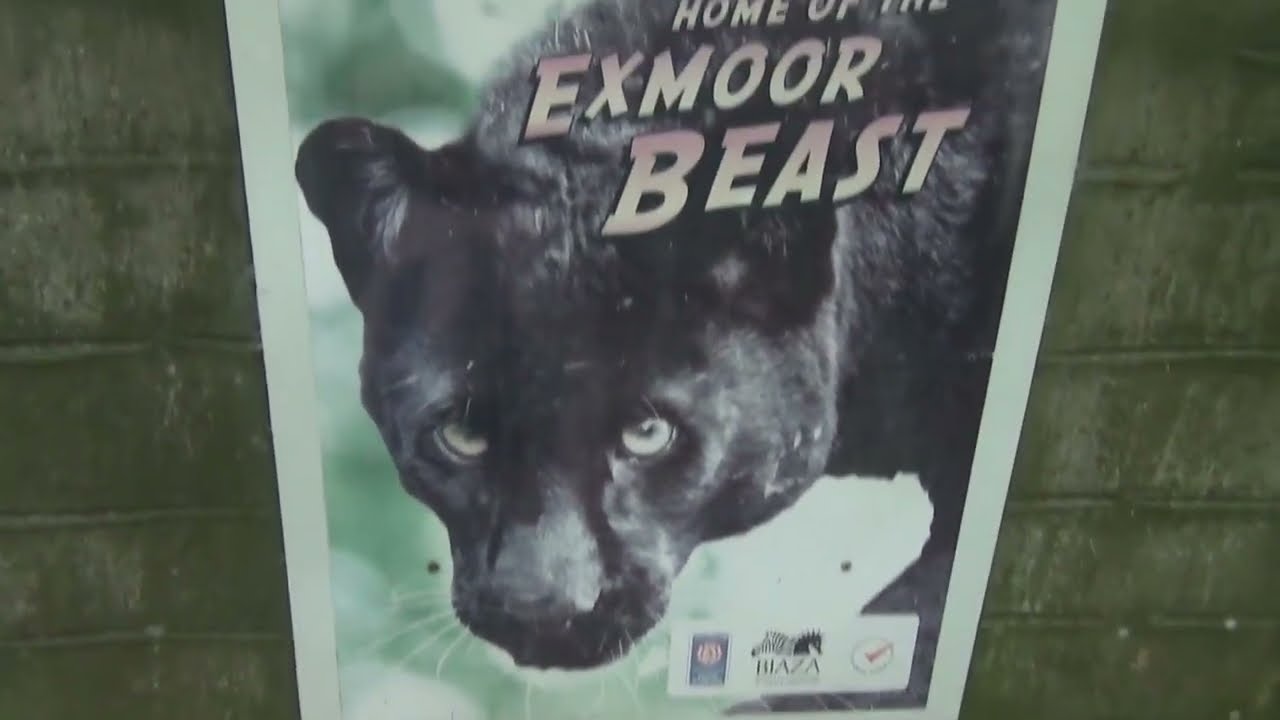 Exmoor Zoo September 2022