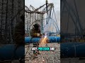 They are actually tearing down this giant roller coaster! #demolition #satisfying #shorts
