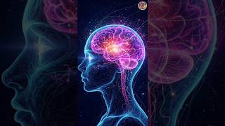 Your Brain Processes Millions of Bits Per Second (You Have No Idea) #brain #facts