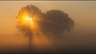 Melancholic Waltz in F-Minor/Abraham Mulder