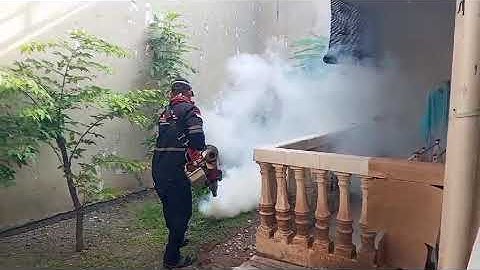 Jasa Fogging Sidoarjo Jasa Fogging Surabaya Jasa Fogging Gresik