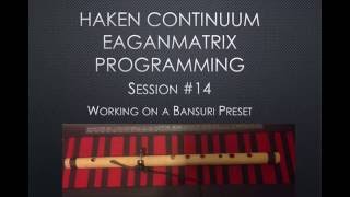 Haken Continuum EaganMatrix Programming - Bansuri Emulation