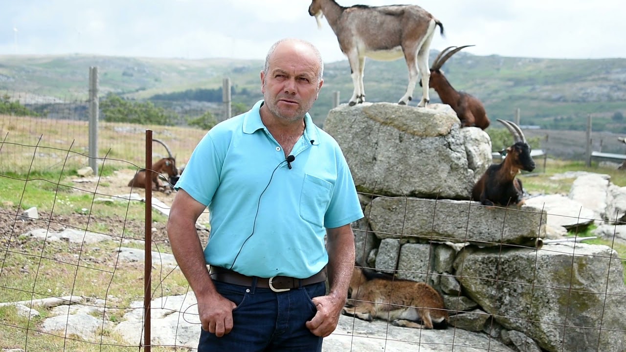 José Mário, produtor de Alvadia