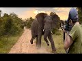 الفيل والصياد الأفريقي وجها لوجه 😱👌👍 الجزء 4