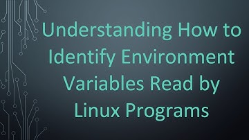 Understanding How to Identify Environment Variables Read by Linux Programs