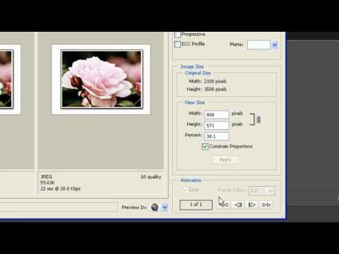 photoshop cc save web slices photoshop cc save web slices
