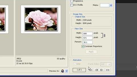 Save for Web in Photoshop Elements