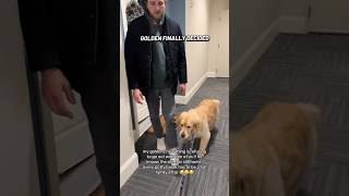 This Loyal Golden Refused to Leave Someone Behind 🥹