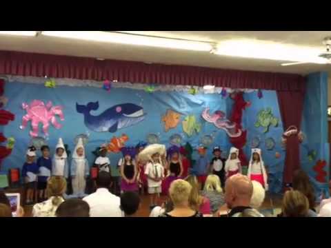 Kona I The Jellyfish