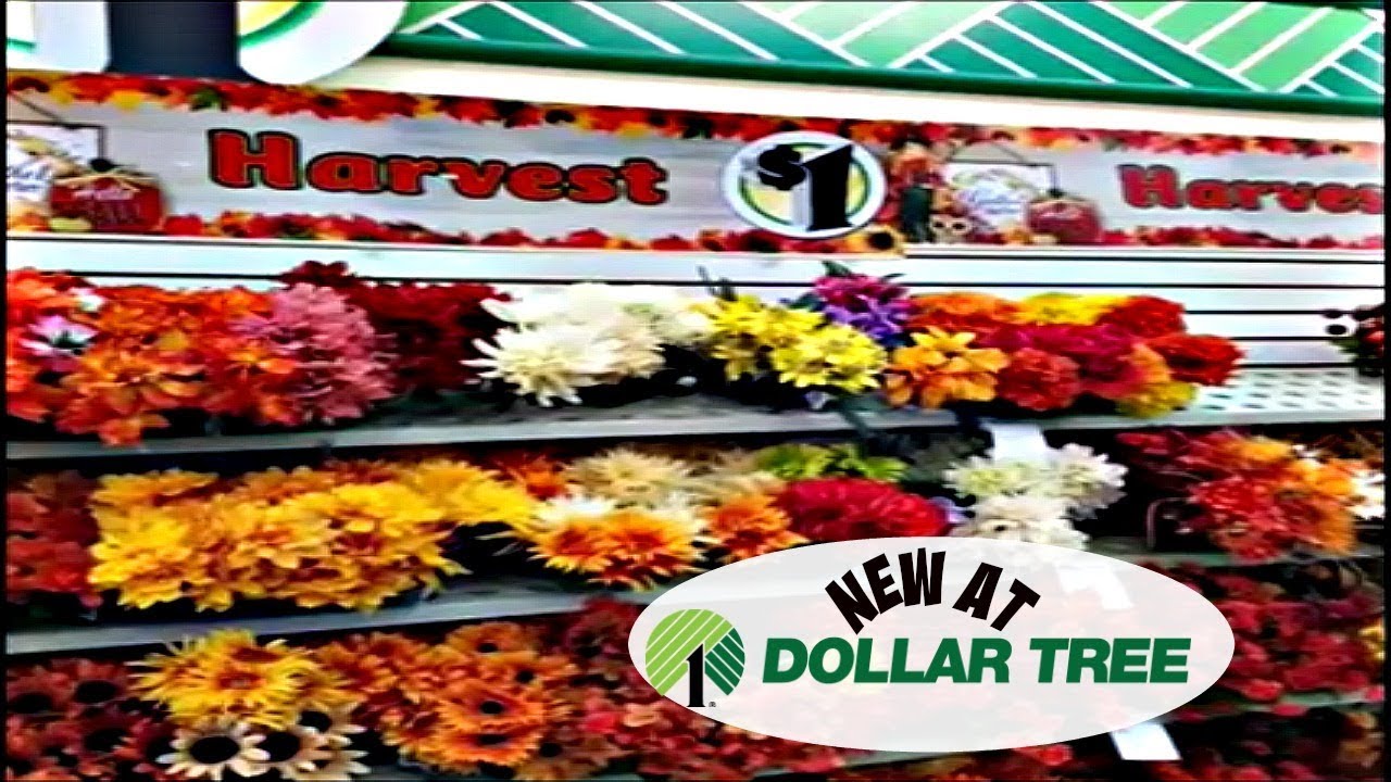 Whats new at dollar tree fall 2018 youtube