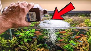 11 Things Pet Stores Don’t Want You To Know About Hydrogen Peroxide!