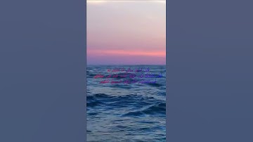 سورة البقرة اية 137 - مع صوت البحر بصوت جميل - فَإِنْ آمَنُواْ بِمِثْلِ مَا آمَنتُم بِهِ فَقَدِ