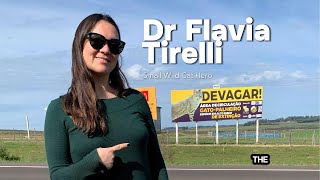 Dr Flavia Tirelli by Big Cat Rescue 631 views 2 weeks ago 49 minutes