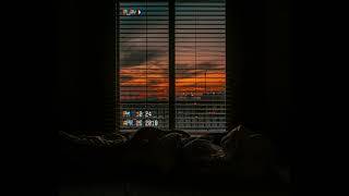 And We Walk After - TREVOR KOWALSKI 🎹🎶