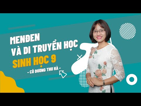 Menden và di