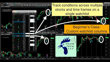 Thinkorswim Custom Watch List Columns