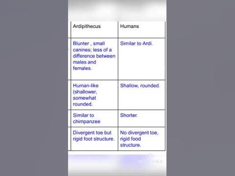 Your inner Monkey worksheet answer - YouTube